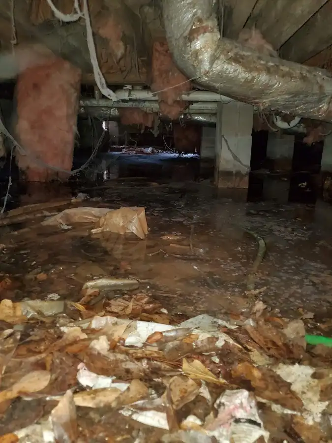 Crawl space flood assessment for Commercial Water Damage Restoration in West Rancho Dominguez